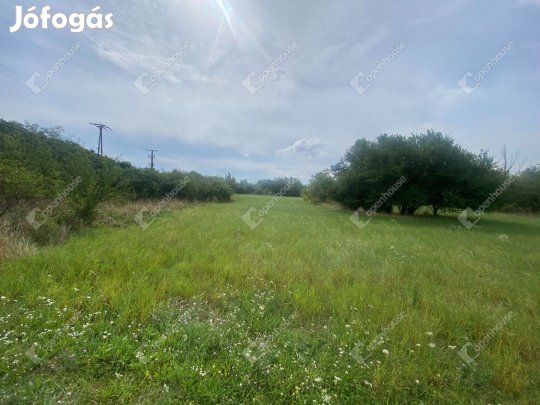Hegyeshalomban külterületi építési telek eladó
