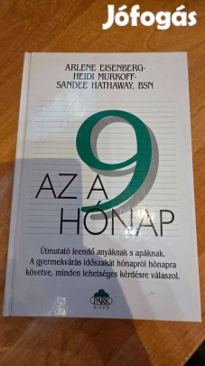 Heidi Murkoff - Az a 9 hónap leendő szülőknek