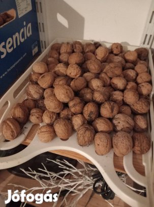 Héjas dió kis mennyiségben is eladó !