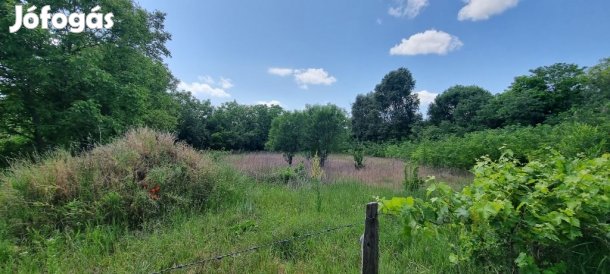 Helvéciai 2000 nm-es telek eladó