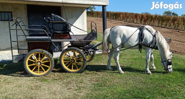 Herélt póni eladó.