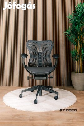 Herman Miller Mirra 2 (Triflex)