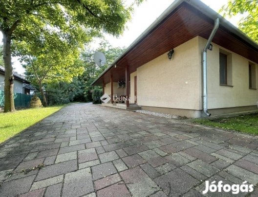 Hernádi 160 nm-es ház eladó