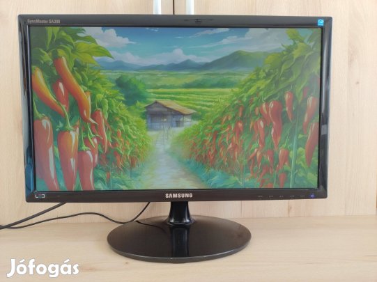Hibás Samsung S22A300N monitor
