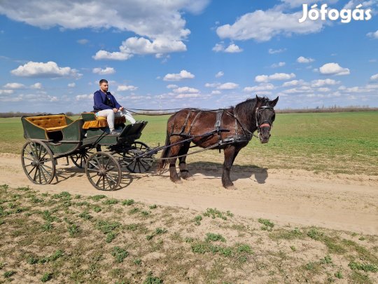 Hintó eladó.Csere lehet!