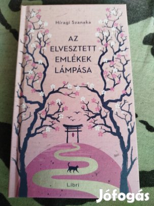 Híragi Szanaka - Az elveszett emlékek lámpása