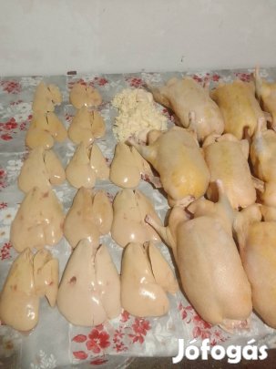 Hízott , Tömött Kacsa Eladó