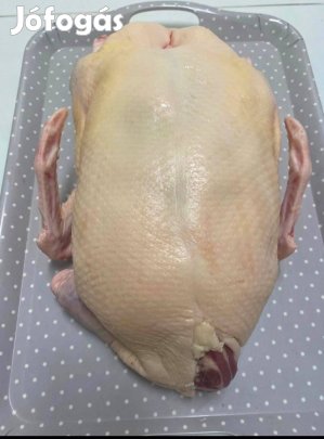 Hízott kacsa 4,5-5 kg 