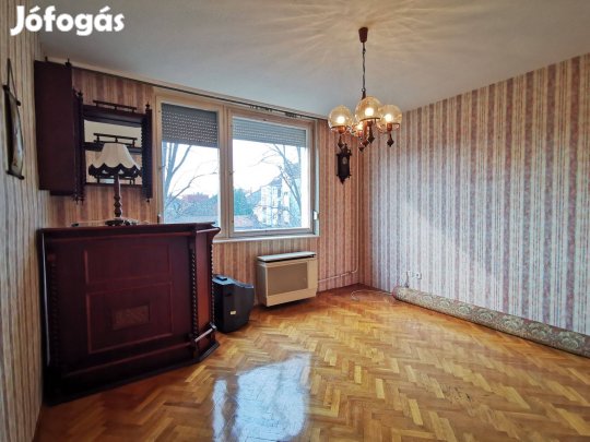 Hóbiárt Basa utcában 4 szobás jó elosztású lakás