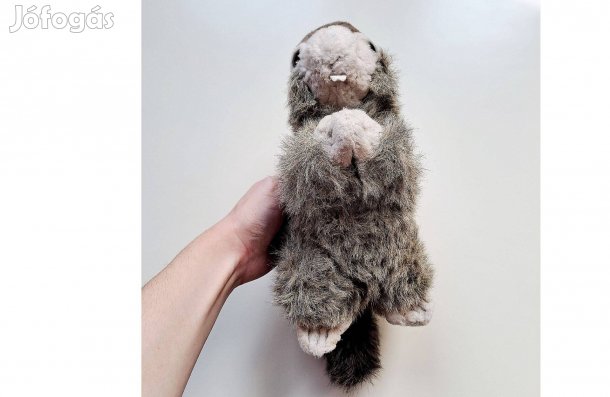 Hód plüss, plüss hód, hódos plüss