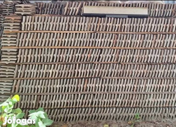 Hodfarkú - Apatini cserép eladó.