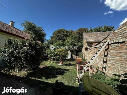 Hódmezővásárhelyi 173 nm-es ház eladó