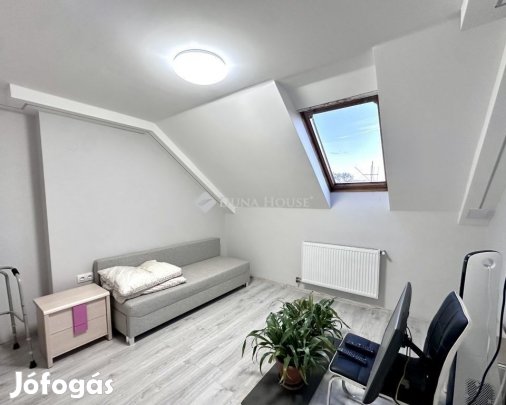 Hódmezővásárhelyi 189 nm-es ház eladó