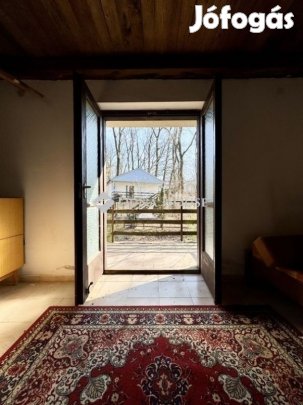 Hódmezővásárhelyi 50 nm-es ház eladó