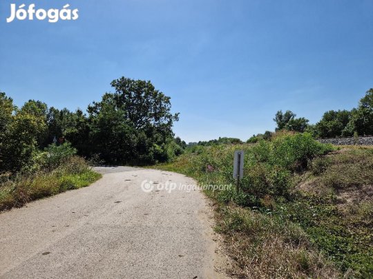 Hódmezővásárhelyi eladó 13824 nm-es telek