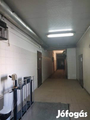 Hódmezővásárhelytől néhány percnyire , téglából épült ,ipari ingatlan,