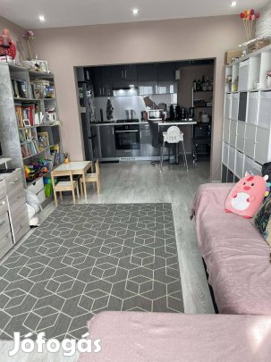 Hódtóban, amerikai konyhás, 2 erkéllyes, egyedileg átalakított lakás
