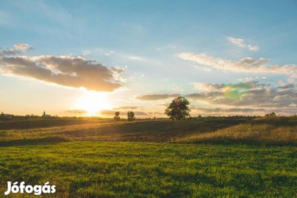 Hőgyészen gyep,legelő eladó!