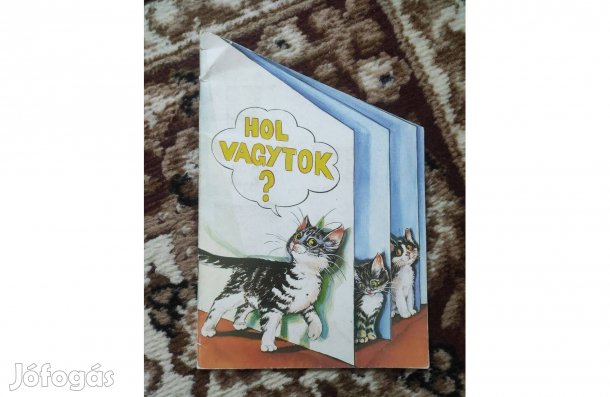 Hol vagytok? cicás gyermekkönyv