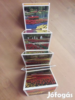 Hollandia, a virágok országa - képsorozat