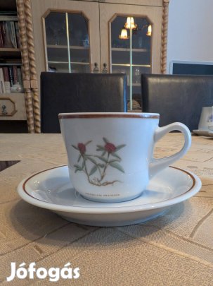 Hollóházi gyógynövényes kávés csésze tányérral