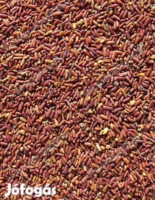 Homoktövis Mag Eladó Postai Utánvétellel is