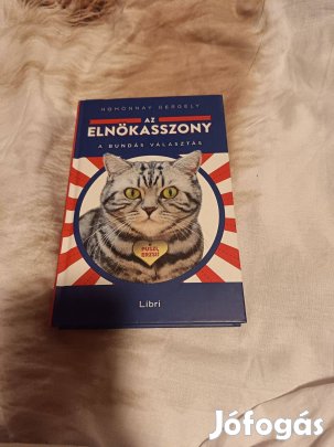 Homonnay Gergely: Az elnökasszony (Erzsi 2.)