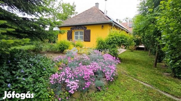 Homorúdi 145 nm-es ház eladó