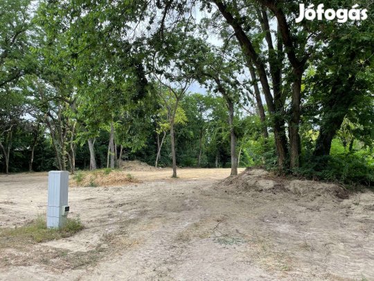 Horányban Duna mellett LKe-6 4000 m2 ligetes lakótelek hasznosítása