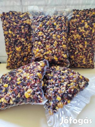 Horgászat Hali-Madár