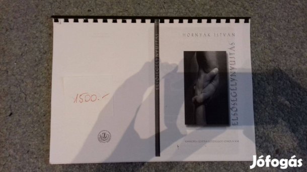 Hornyák: Elsősegélynyújtás