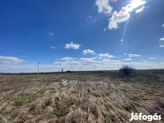 Hortobágyi 14563 nm-es telek eladó