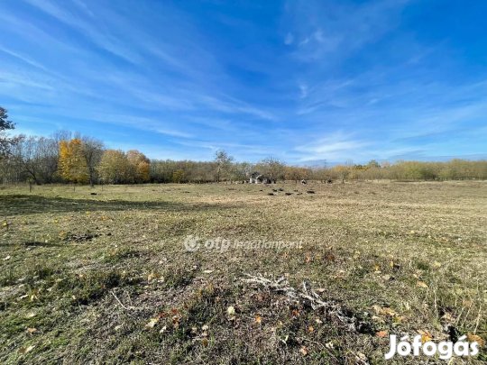 Hosszúpályii 1000 nm-es telek eladó