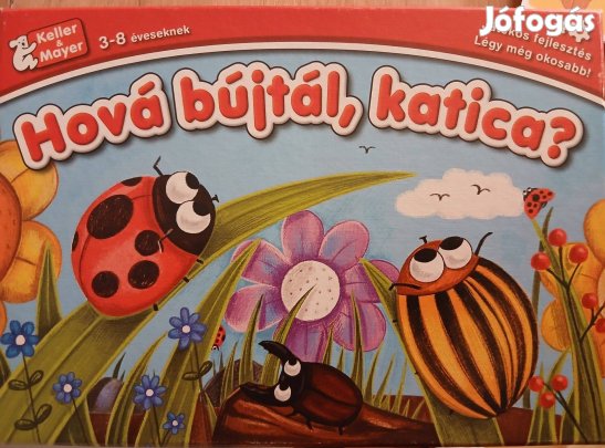 Hová bújtál, katica? Társasjáték