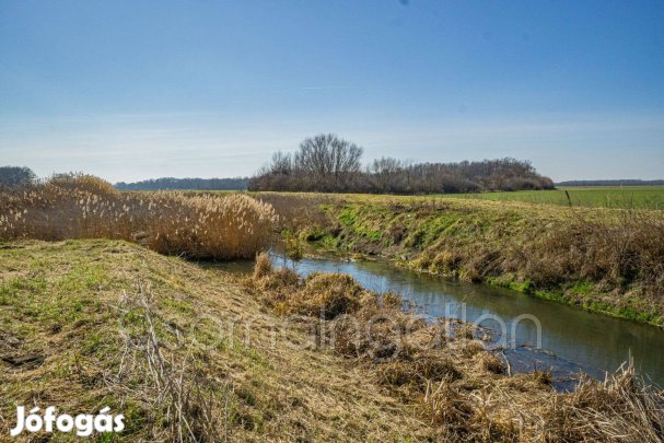 Hövej - természetközeli részen hétvégi ház eladó