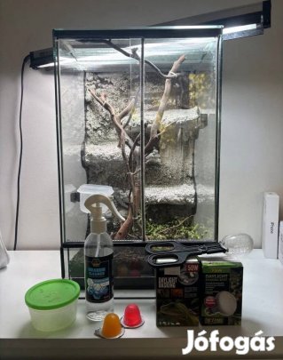Hüllő Terrárium
