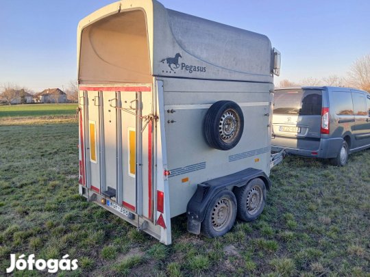 Humbaur Pegazus lószállító