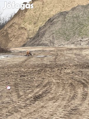 Humuszos termőföld eladó Debrecenben
