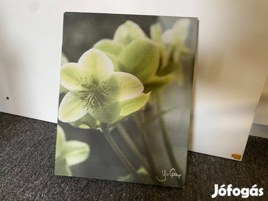 Hunyort ábrázoló kép eladó