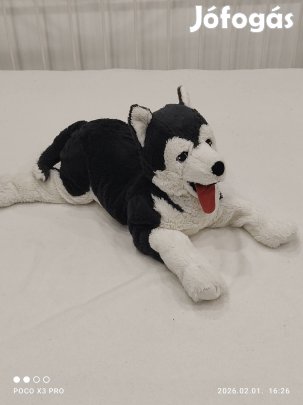 Husky kutya plüss figura 