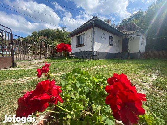 Húsvét a Zemplénben, önálló vendégházban április 3 - 6