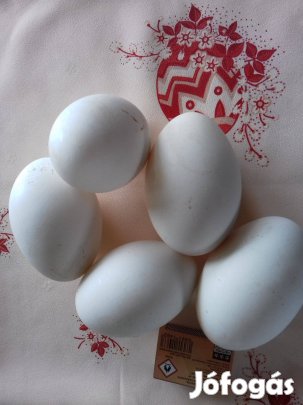 Húsvéti Liba tojás