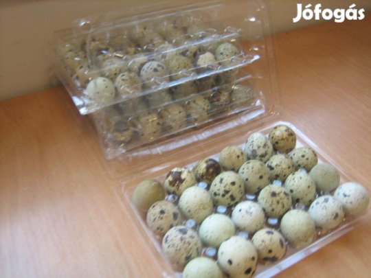 Húsvéti fürj tojás kapható !!!