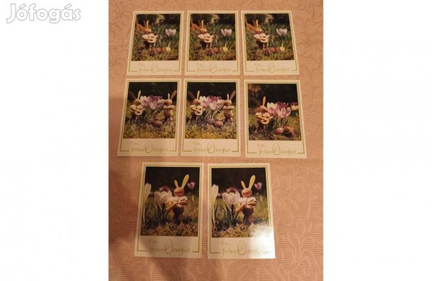 Húsvéti német nyulas képeslap 8 db - darabonként is