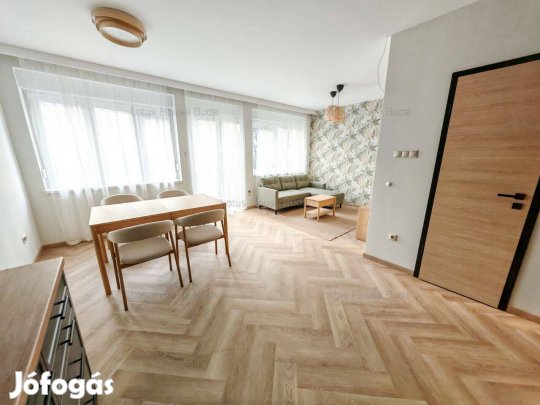 II. Kerület, Újszerű Kiadó Lakás Szemlőhegyen