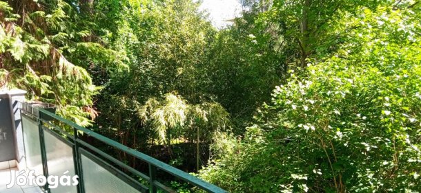 II. kerület, Pasaréti térhez közel, 60 m2-es, társasházi lakás