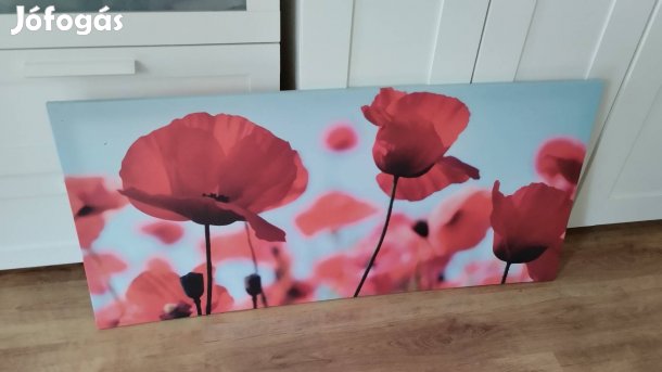 IKEA Pipacsos kép 120x55 cm