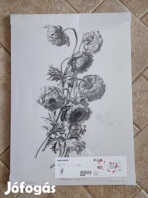 IKEA falikép - koronás szellőrózsa