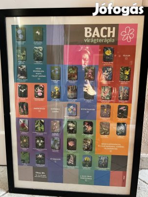 IKEA keret képpel 53,5x74