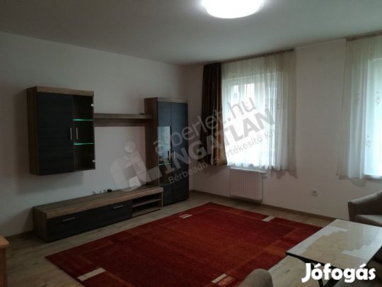 IX.Tűzoltó utcában 1 szoba + hálófülkés lakás berendezve kiadó